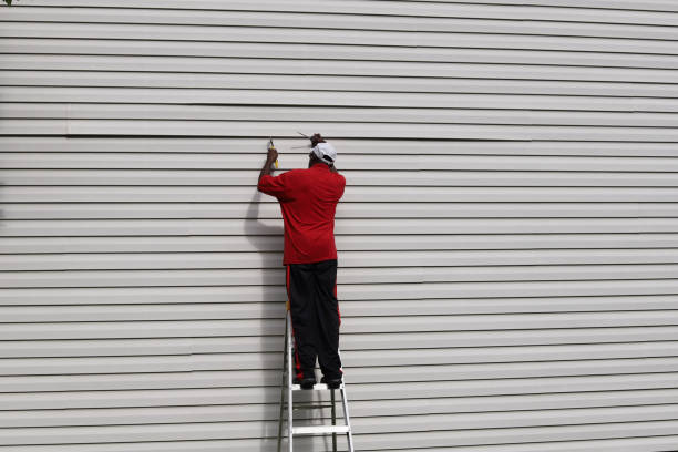 Best Siding Painting and Refinishing  in Summerside, OH